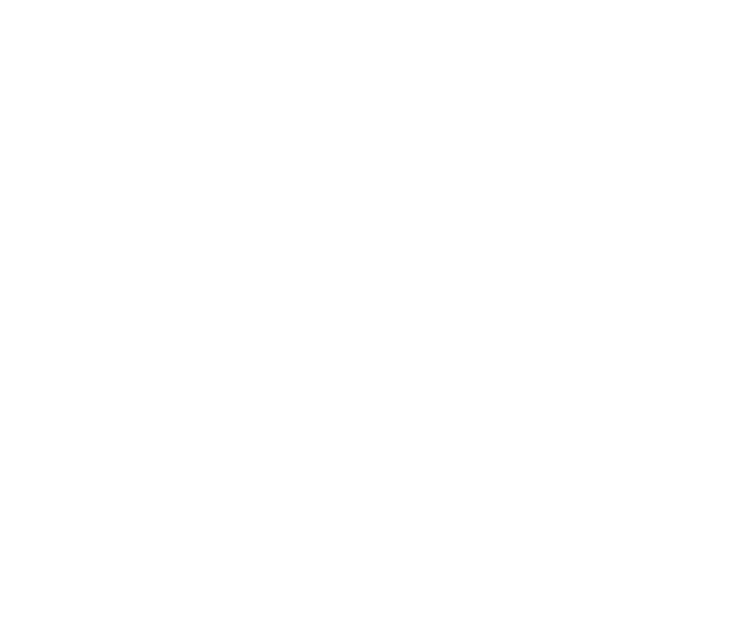 Guess Method